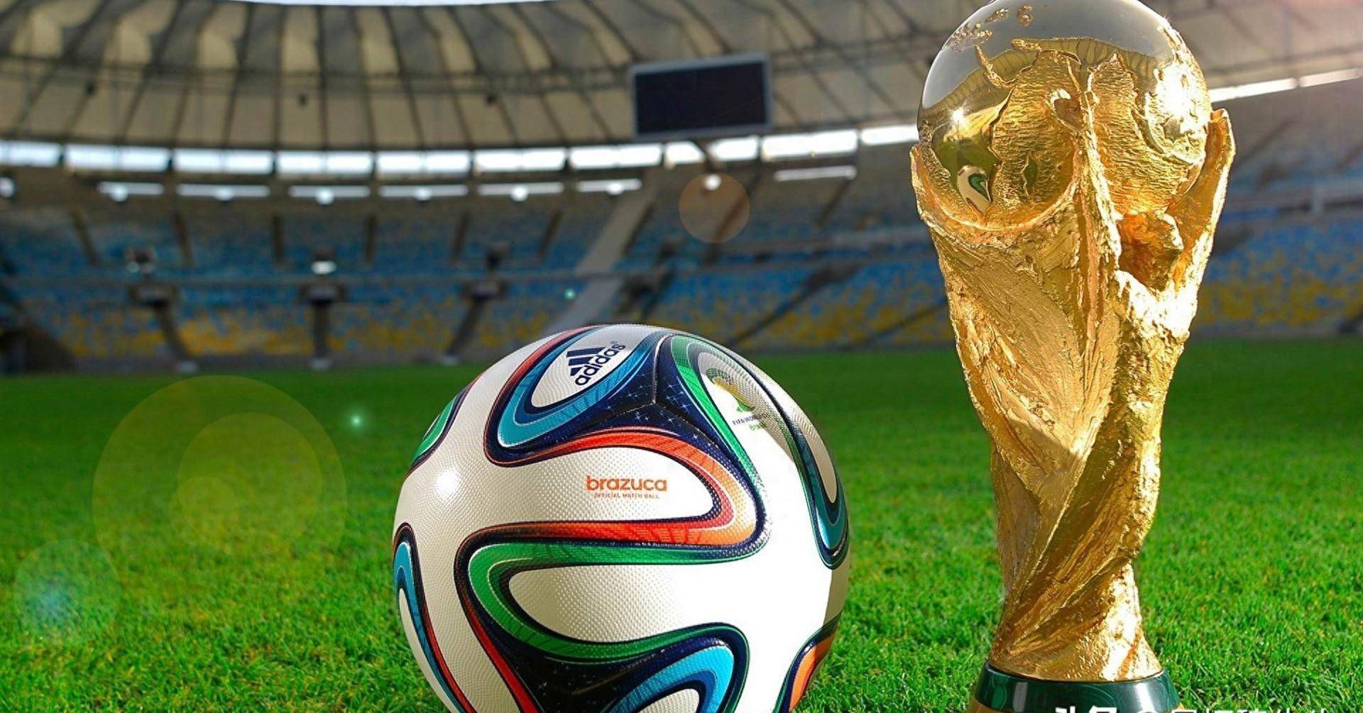 尼亚以来 尼亚以来