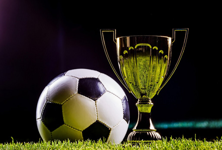 严峻的挑战 严峻的挑战